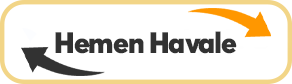 MovenPayV1BankTransfer